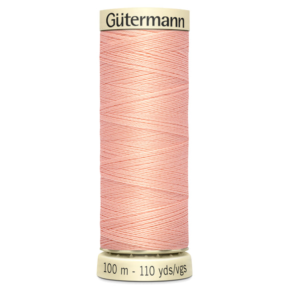 Gutermann Sew All Thread 100m (165)