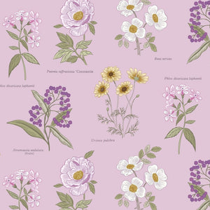 Lewis and Irene Botanic Garden Flower Illustrations *remnant 19cm x 110cm*